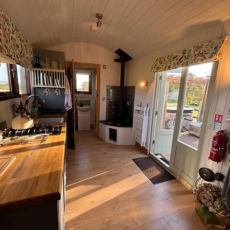 Bed and Breakfast Bron Hafren Montgomery Esterno foto