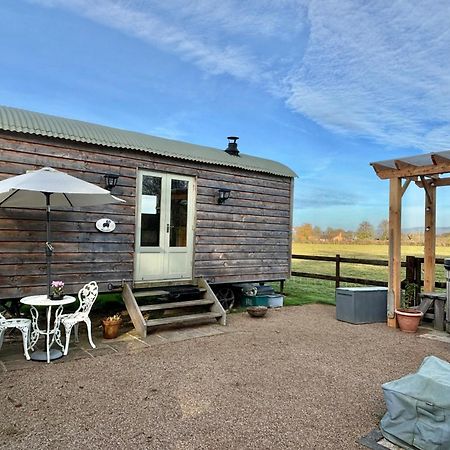 Bed and Breakfast Bron Hafren Montgomery Esterno foto