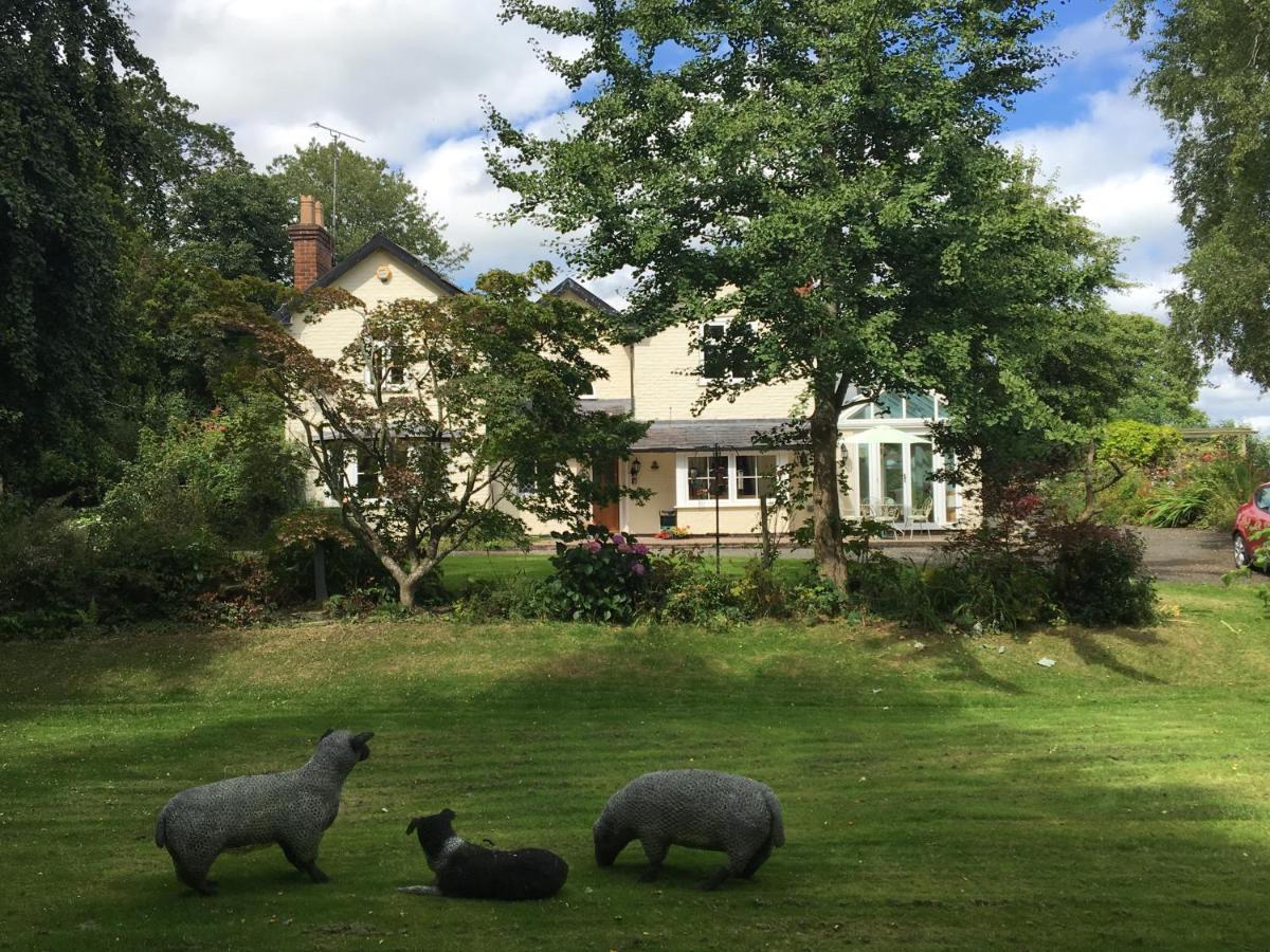 Bed and Breakfast Bron Hafren Montgomery Esterno foto
