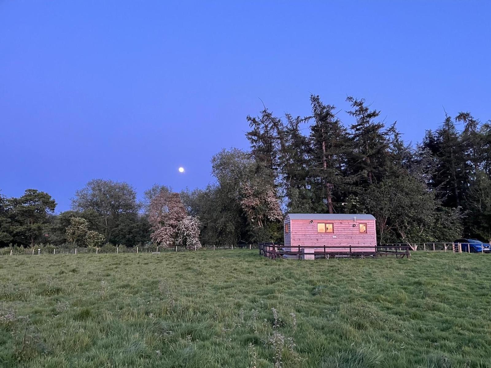 Bed and Breakfast Bron Hafren Montgomery Esterno foto